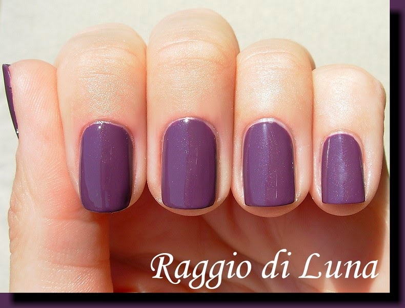 Kiko+n%C2%B0+379+Eggplant+2.jpg