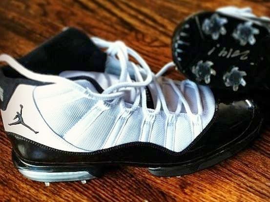 jordan 11 concord golf