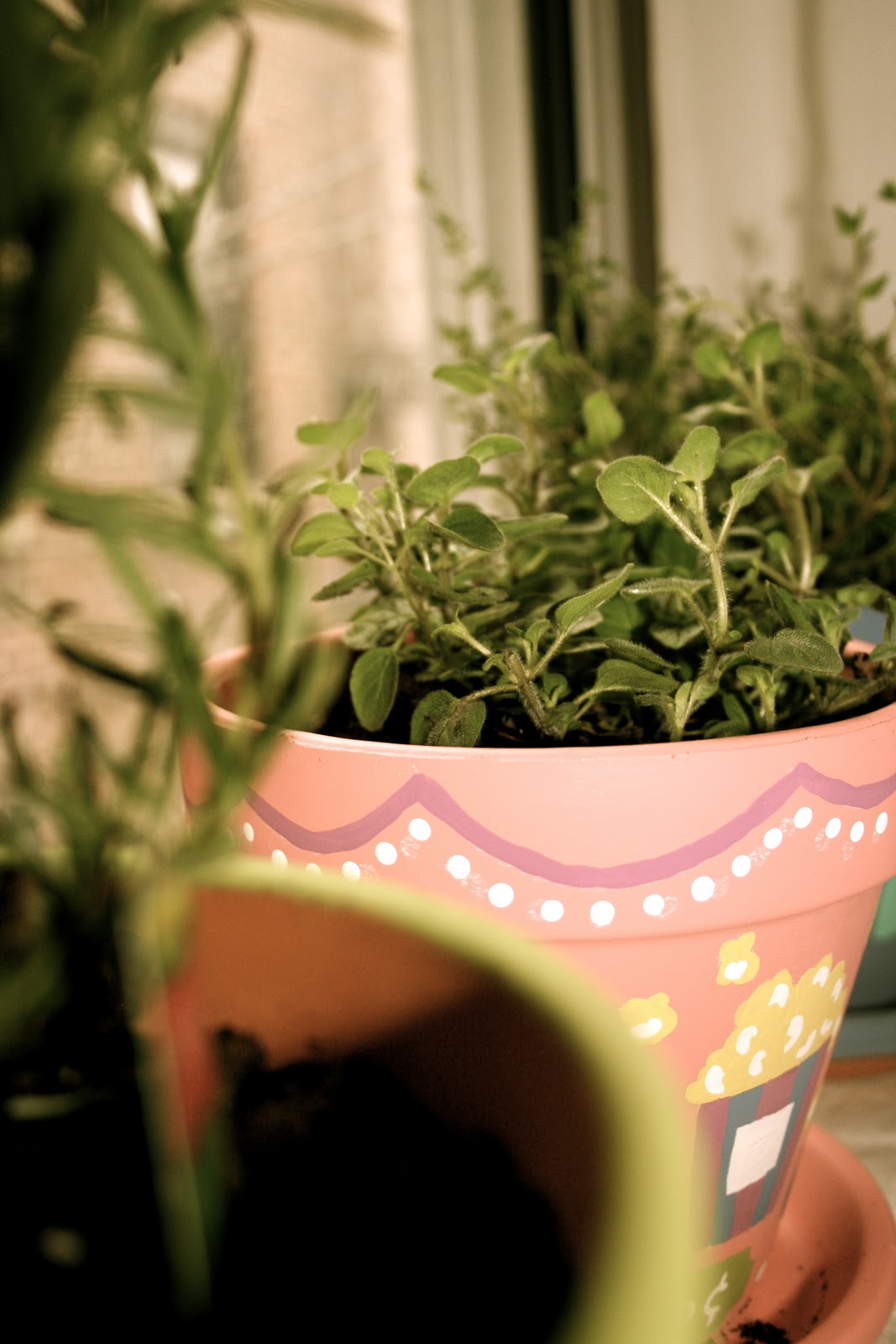 Scarborough FoodFair Oregano, Rosemary & Thyme