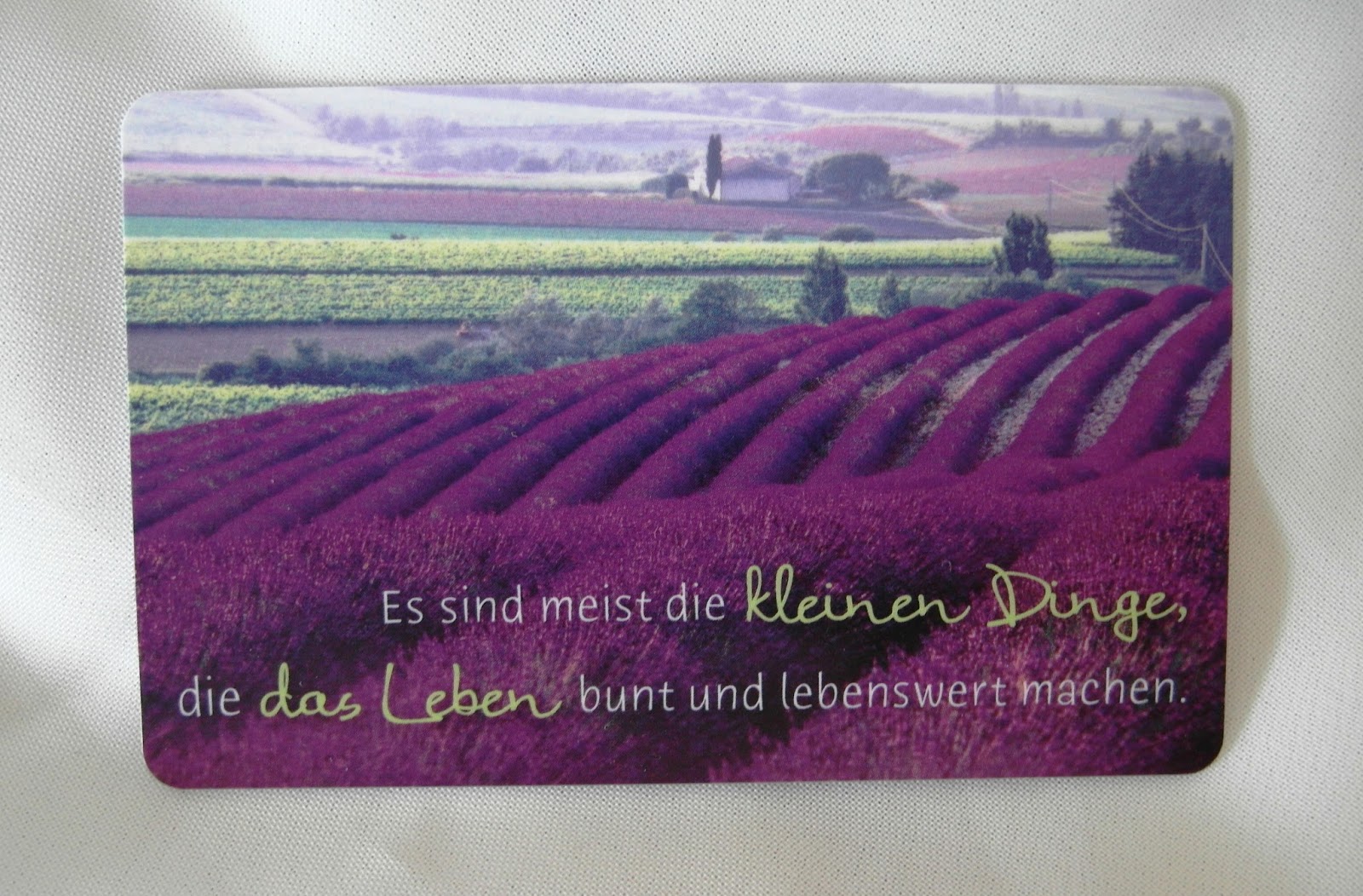 Grafik Werkstatt Bielefeld Beautyinspiration