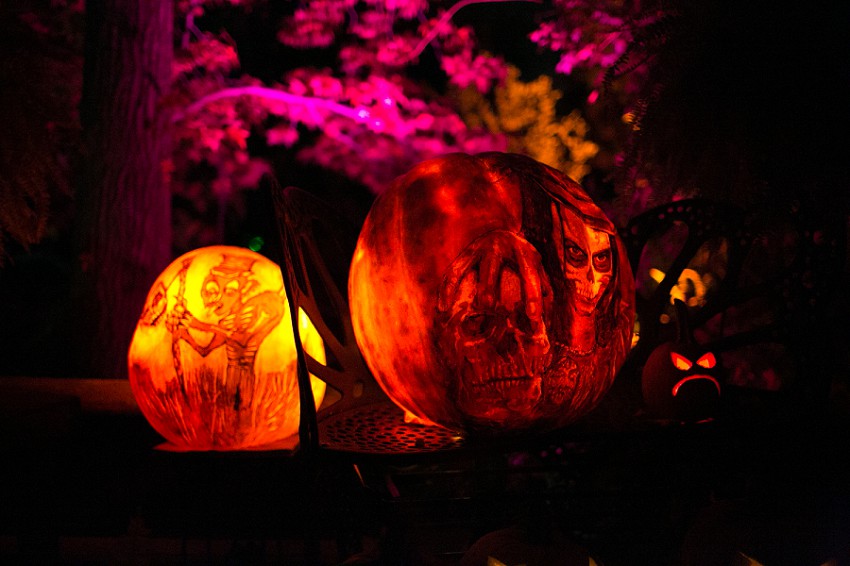 spooky spectacular roger williams zoo