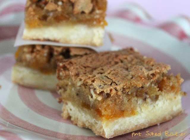 Apricot Squares 2 PS+Apricot+Squares+(14)