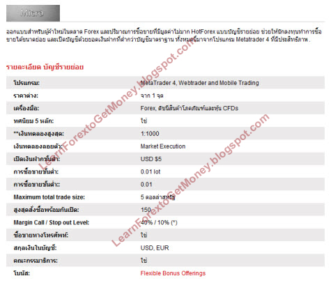 Forex micro account leverage