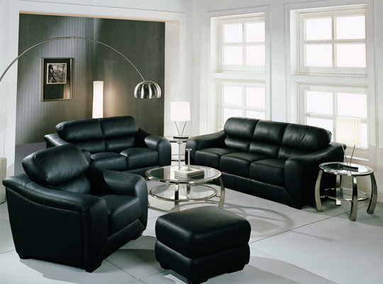 Black Sofa Living Room Decoration ideas