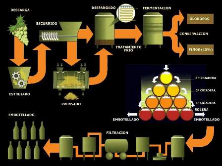 El Vino y sus propiedades antioxidantes El Vino y sus propiedades antioxidantes