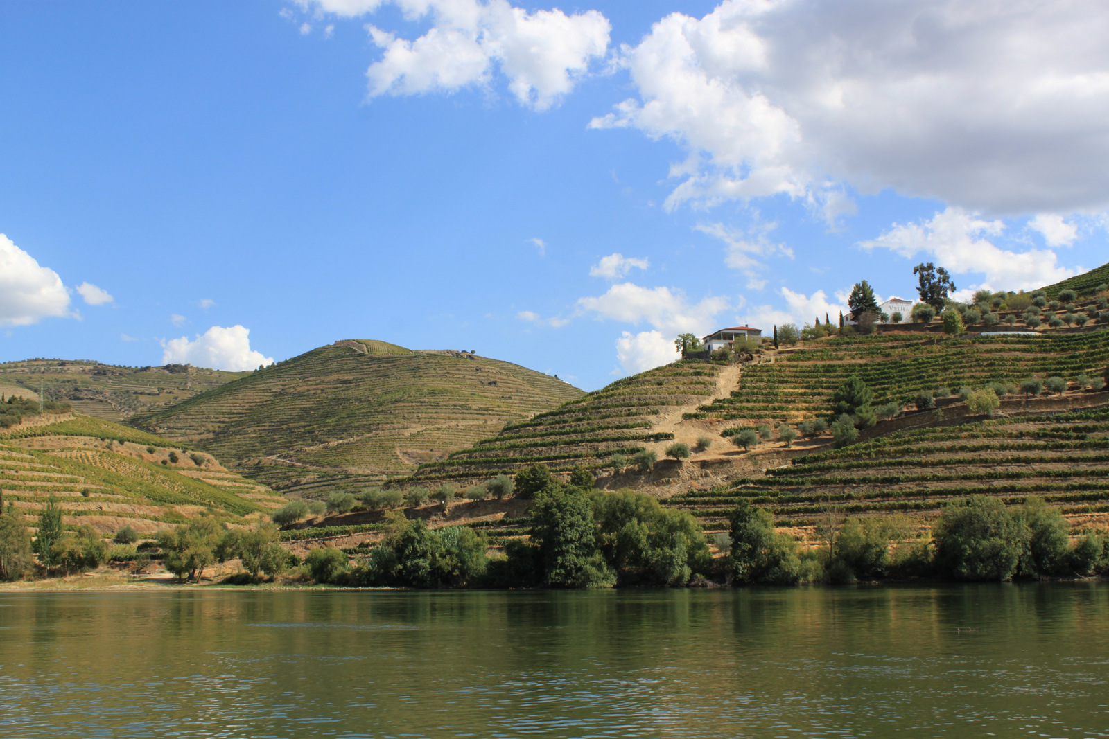 Croisière Magnifico Douro