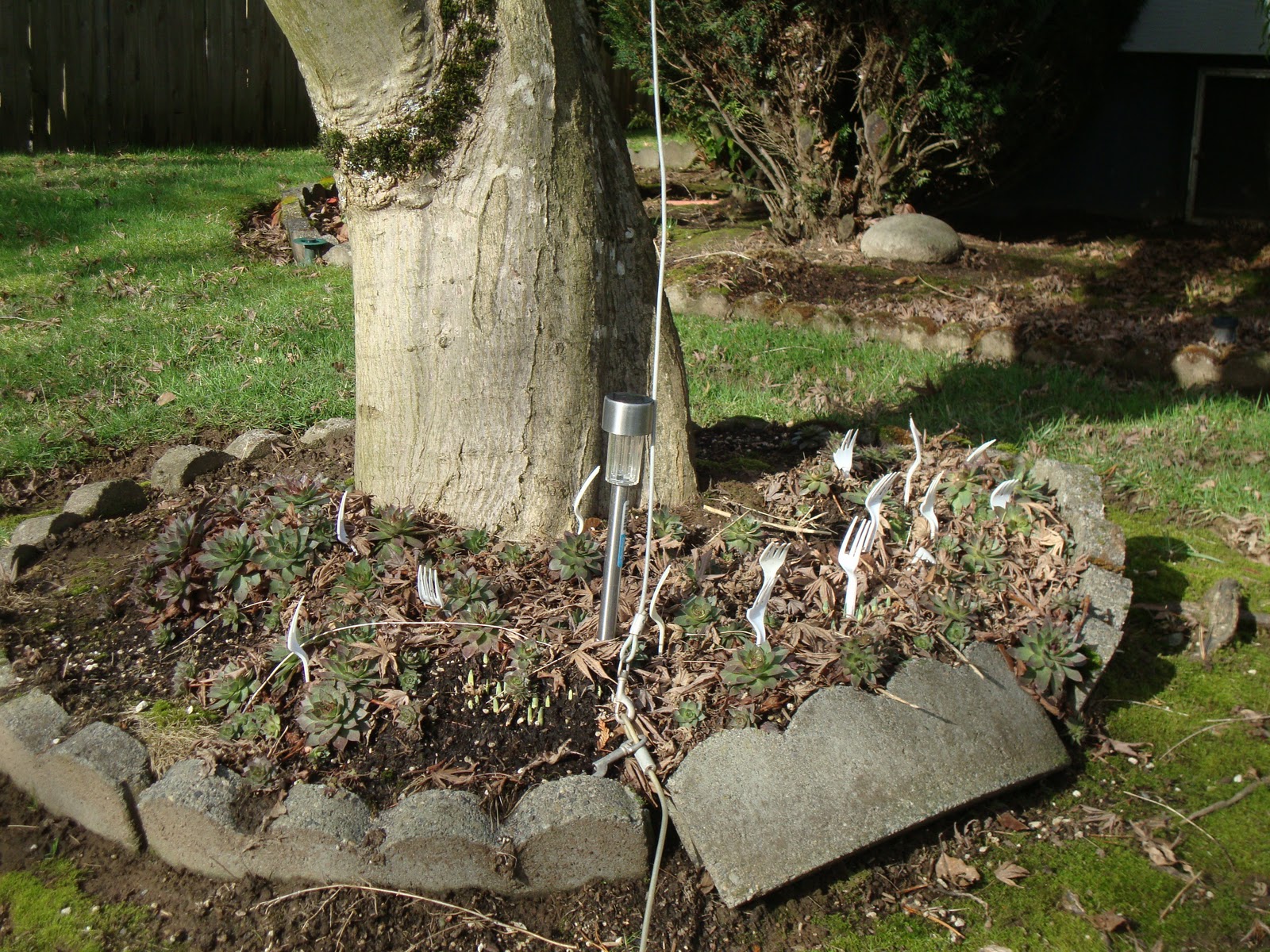 danger garden Forks…in the garden…what?