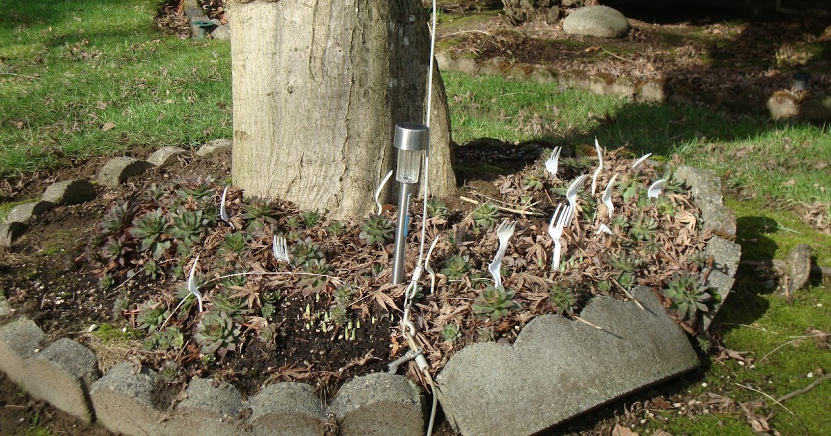 danger garden Forks…in the garden…what?