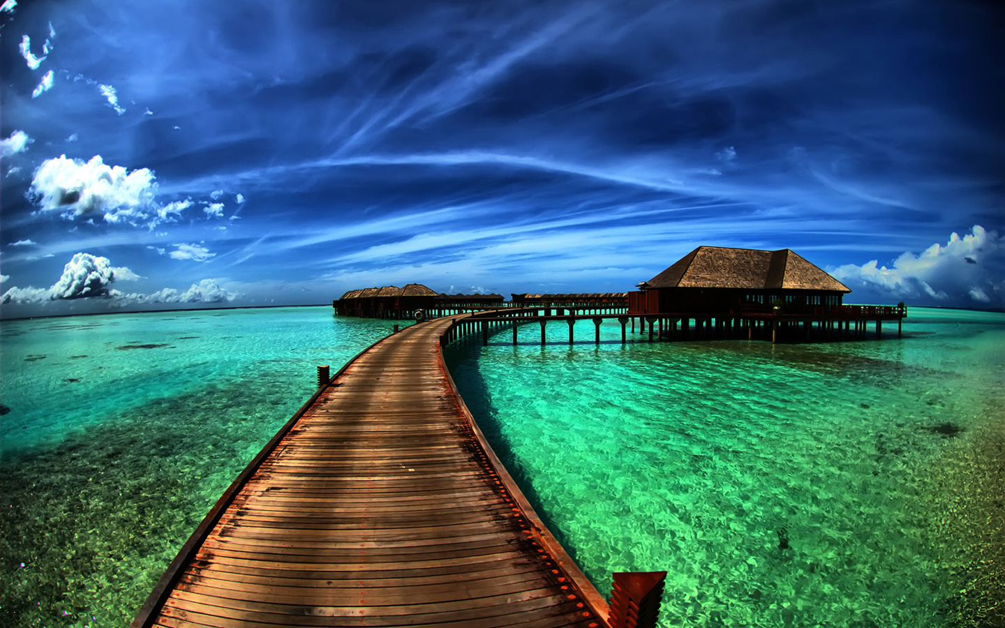 http://4.bp.blogspot.com/-dIX3yob95YU/TcecvC3FQ5I/AAAAAAAAAZs/DNge4fq8P84/s1600/nature-2-hd-wallpaper-1440x900.jpeg