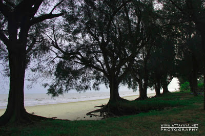 Pantai Rupat Bengkalis Pesona Tanjung Lapin