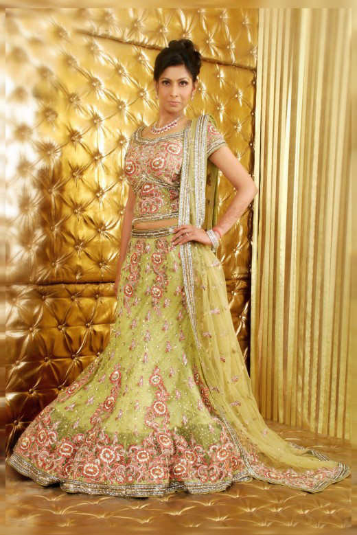 bhade choli