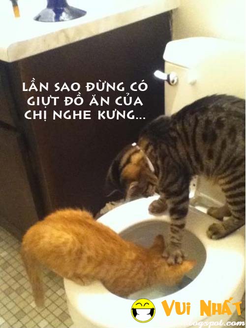 Ảnh vui động vật bị phạt vì giành ăn Ảnh vui động vật bị phạt vì giành ăn