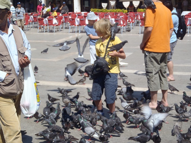 Covered In Pigeons