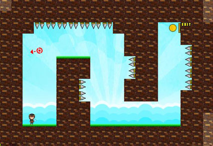 Ninja Gravity Adventure