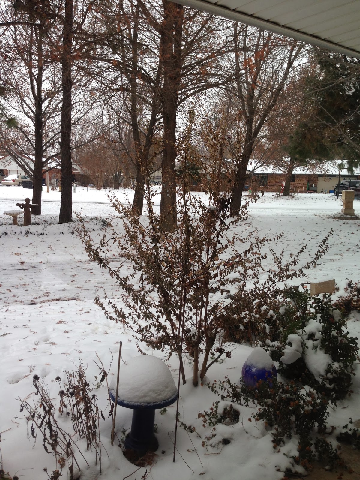 My Life As We Know It. Snowquake in Oklahoma.