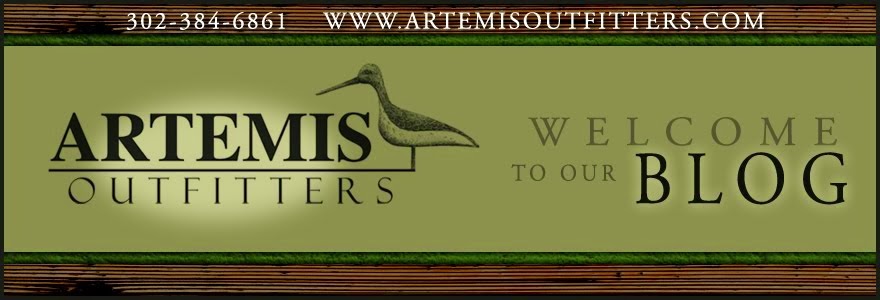 Artemis Outfitters