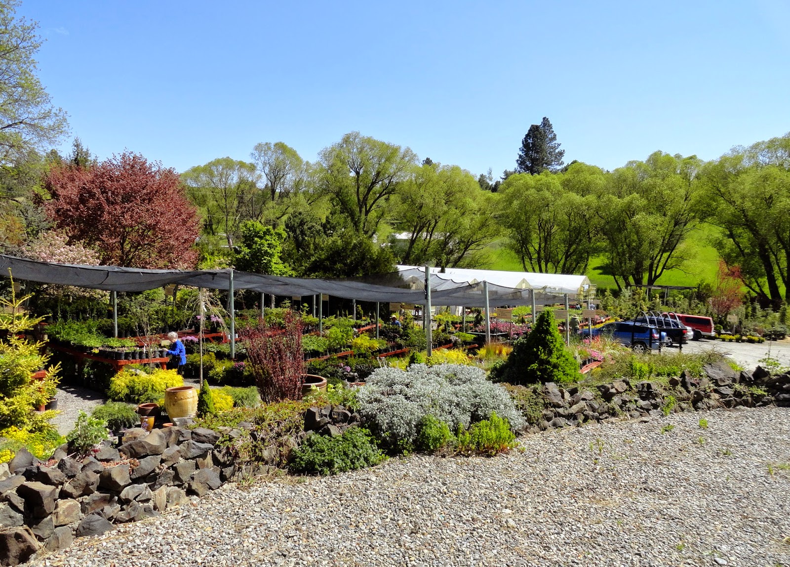 Spokane Nurseries TheNurseries