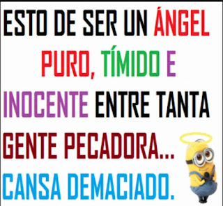 Imagenes chistosas para compartir en whatsapp Imagenes chistosas para compartir en whatsapp