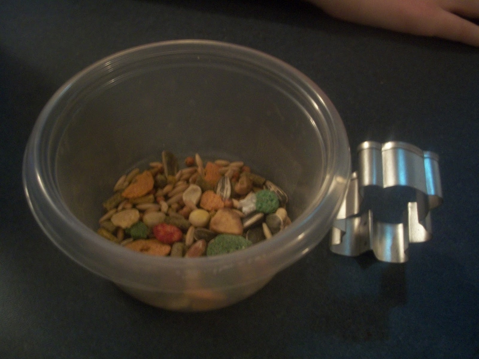 Pams Party & Practical Tips Homemade Hamster Treats