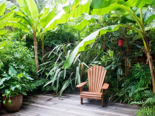 The Best Ideas About Small Tropical Gardens On Pinterest Small Balcony Garden Decorative Cinder Blocks And Bamboo Grass The Best Ideas About Small Tropical Gardens On Pinterest Small Balcony Garden Decorative Cinder Blocks And Bamboo Grass