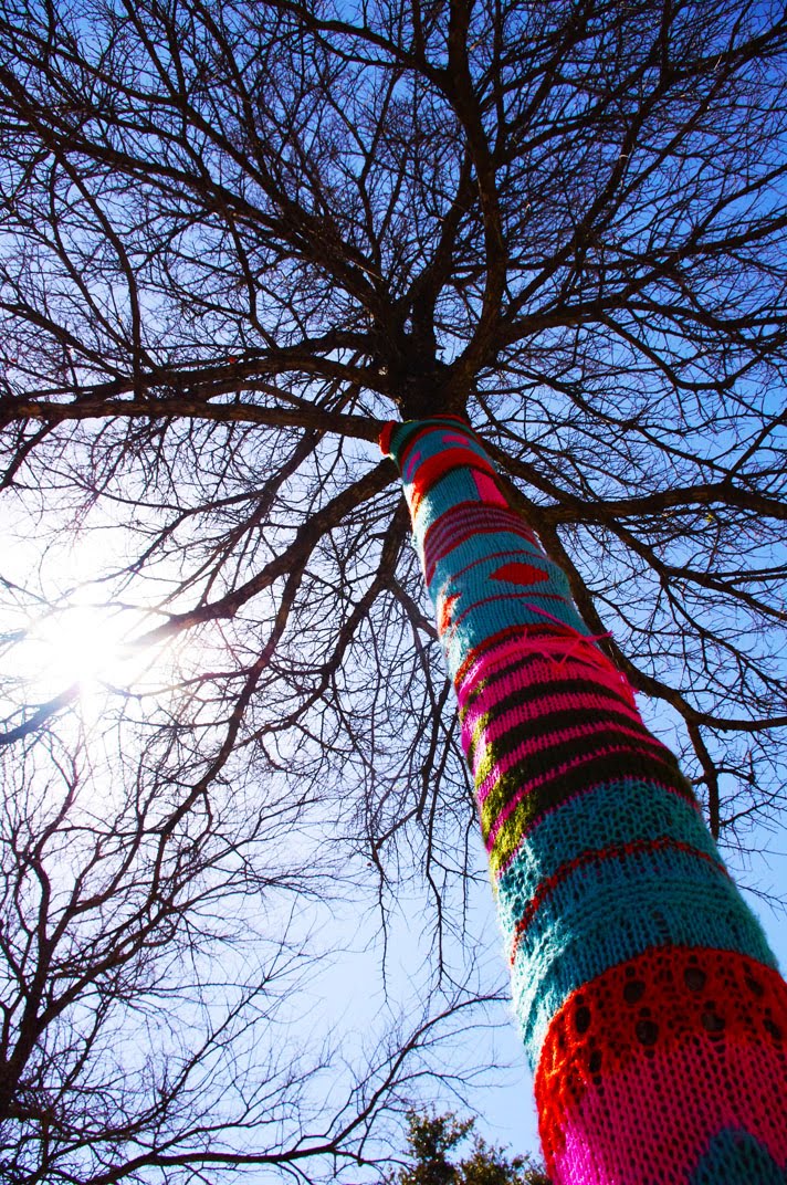 A Knitted Wonderland