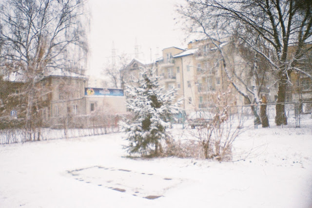 F1040003.JPG