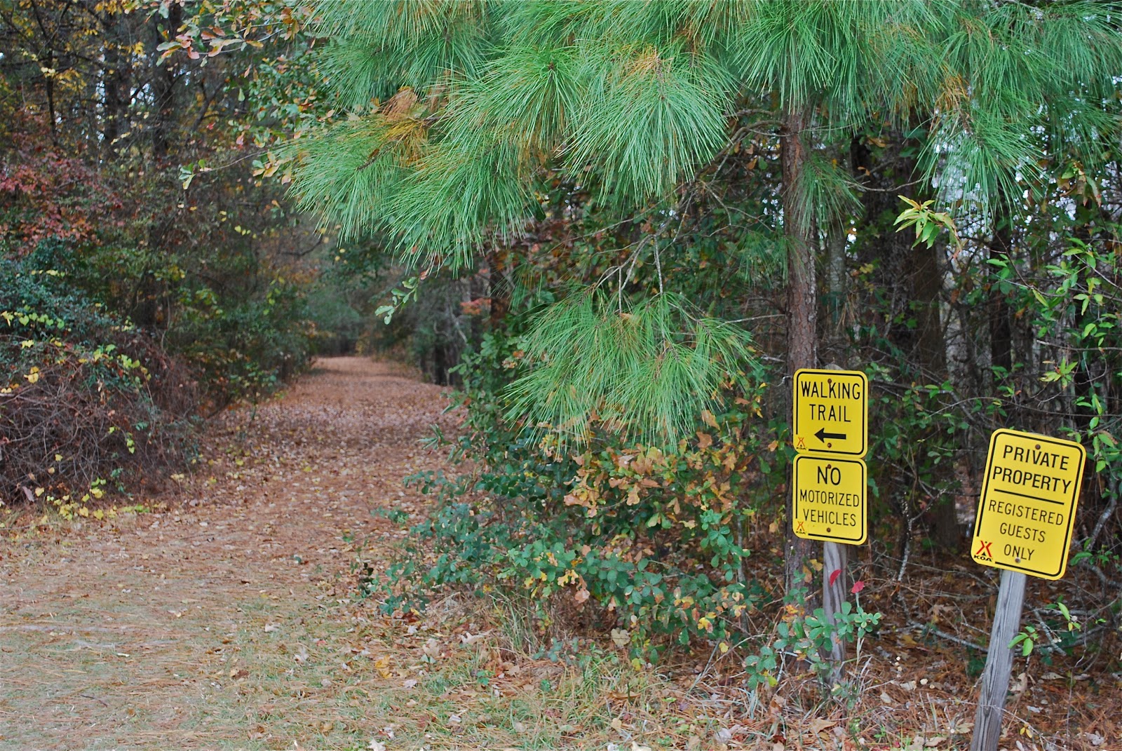 BLUE SKY AHEAD Fayetteville/Wade KOA, NC