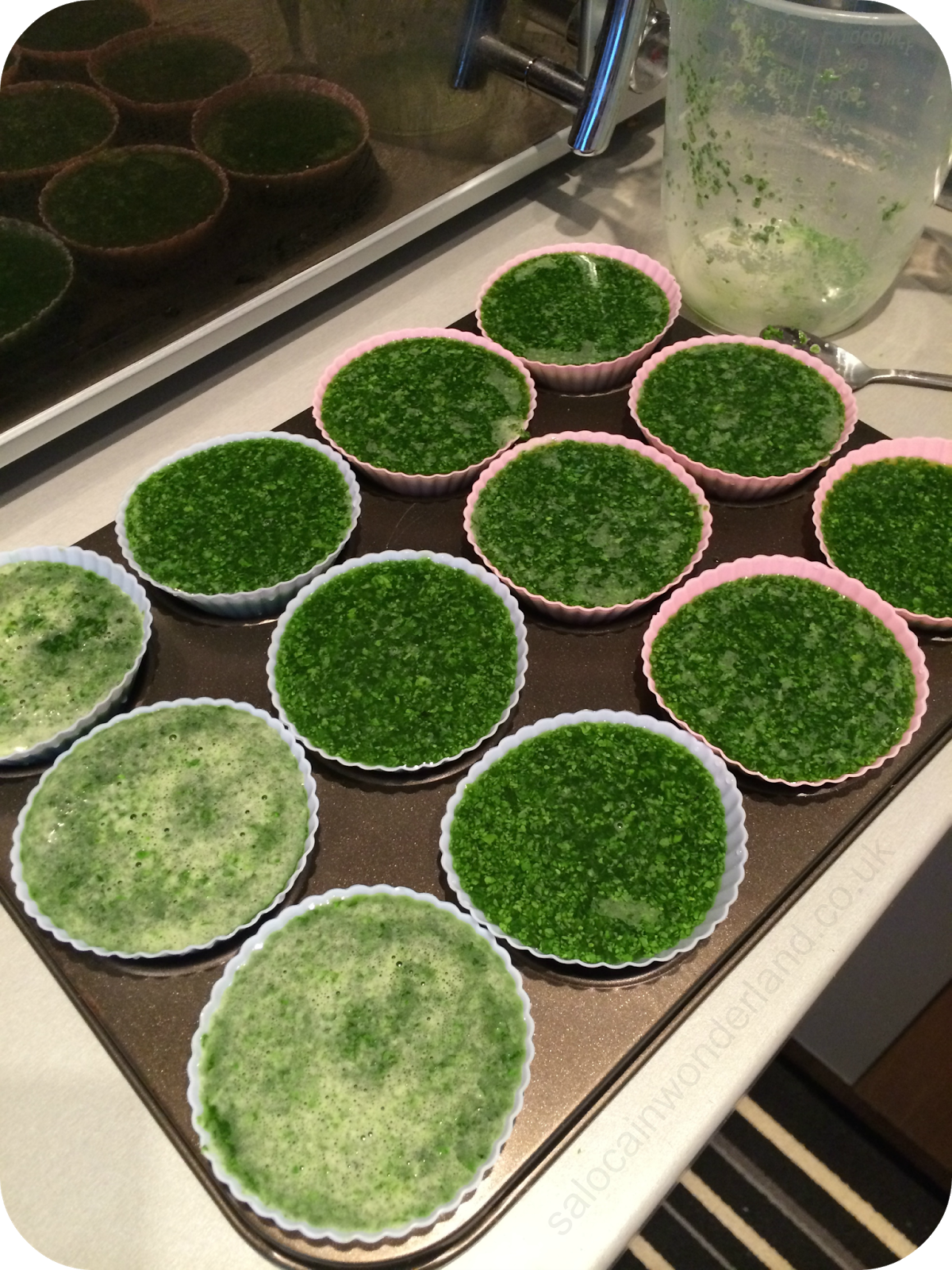 Saloca in Wonderland Freezing spinach and kale for green juice smoothies!