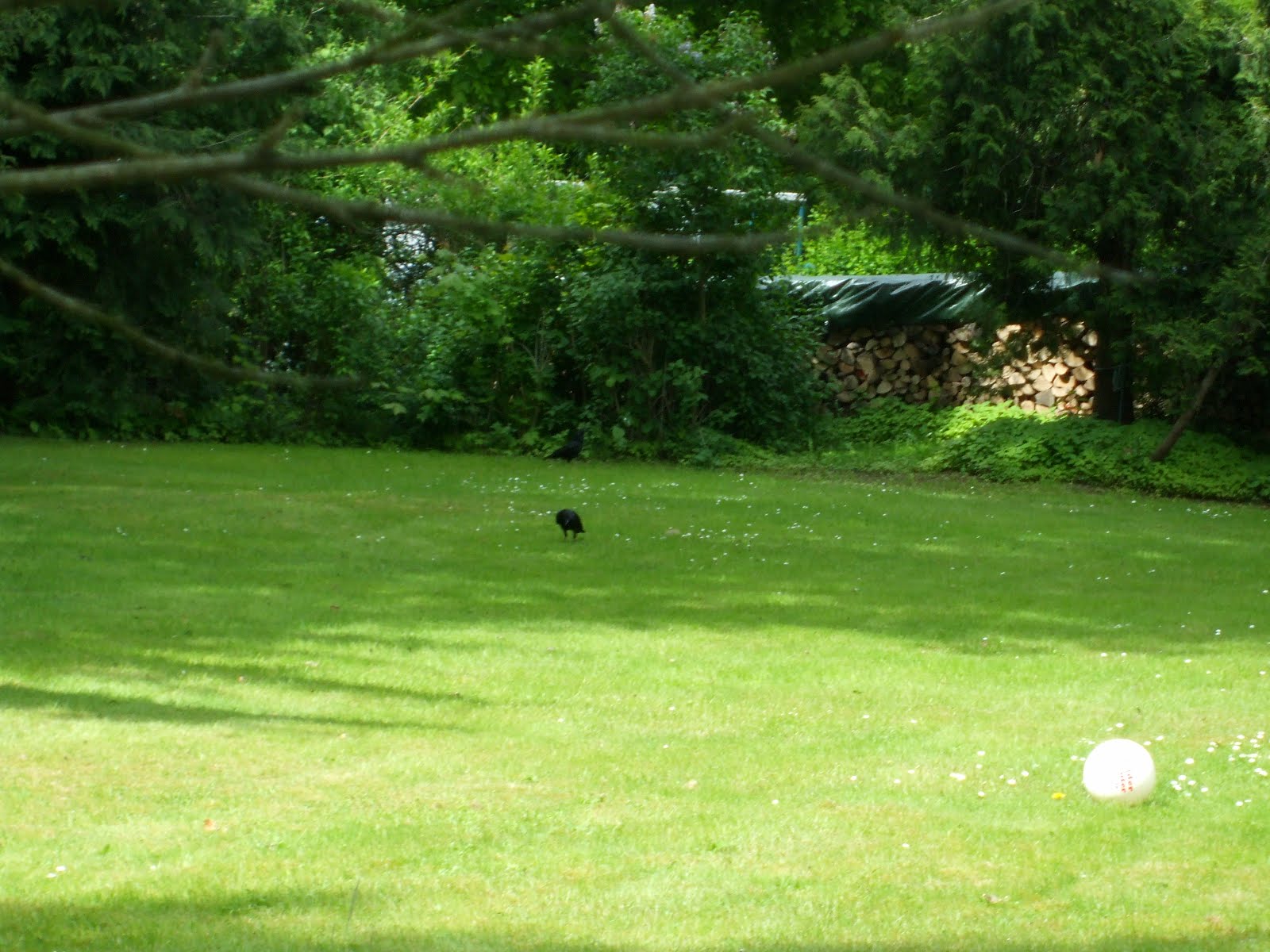 Biggi's erster Test-Blog: 20. Mai 2012