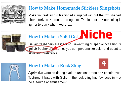 بالتفصيل : ماهو النيتش How+to+choose+a+niche+in+ehow.com+for+your+adsense+niche+site