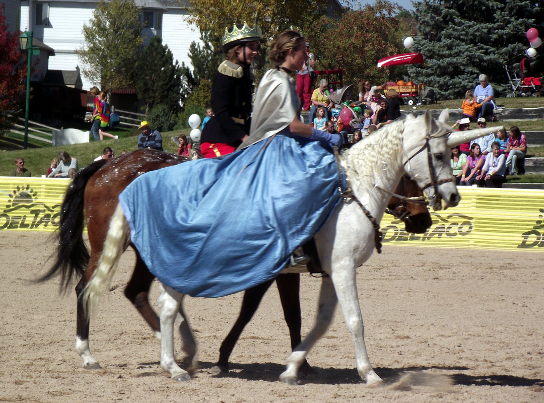 Horse Fancy Dress Ideas Cinderellla and Prince Charming