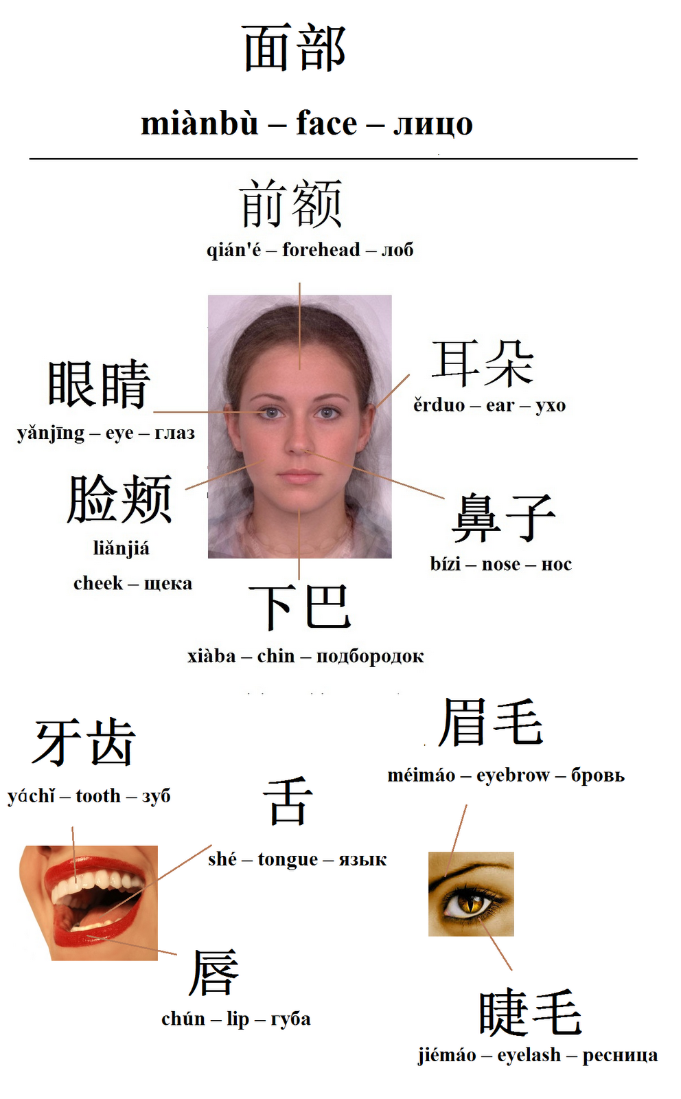 Mandarin Chinese From Scratch Face Лицо