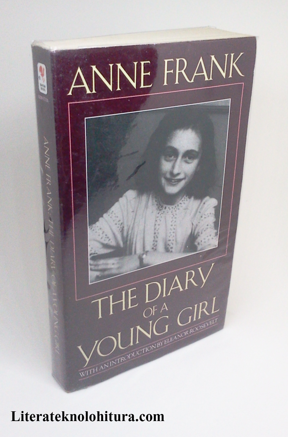 the diary of anne frank book review essay the diary of anne frank book review essay