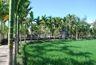 Lovely Da Nang - why not visit right now !!! Lovely Da Nang - why not visit right now !!!