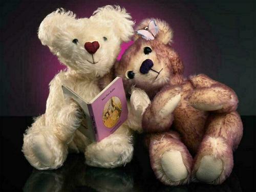 cute wallpapers cute wallpapers
