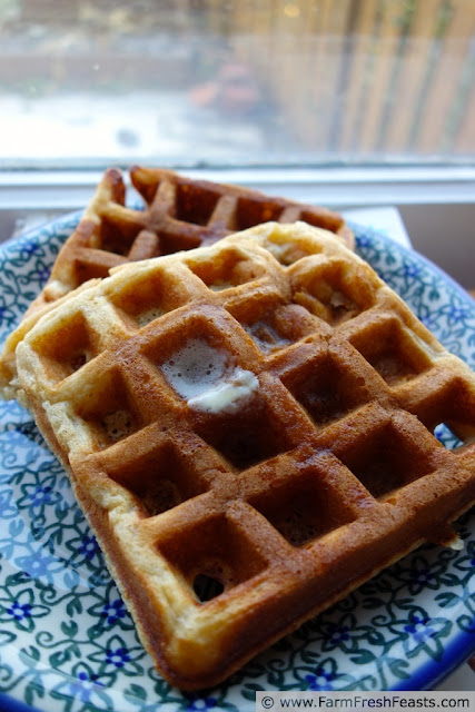 Low and Slow Pear Butter Waffles