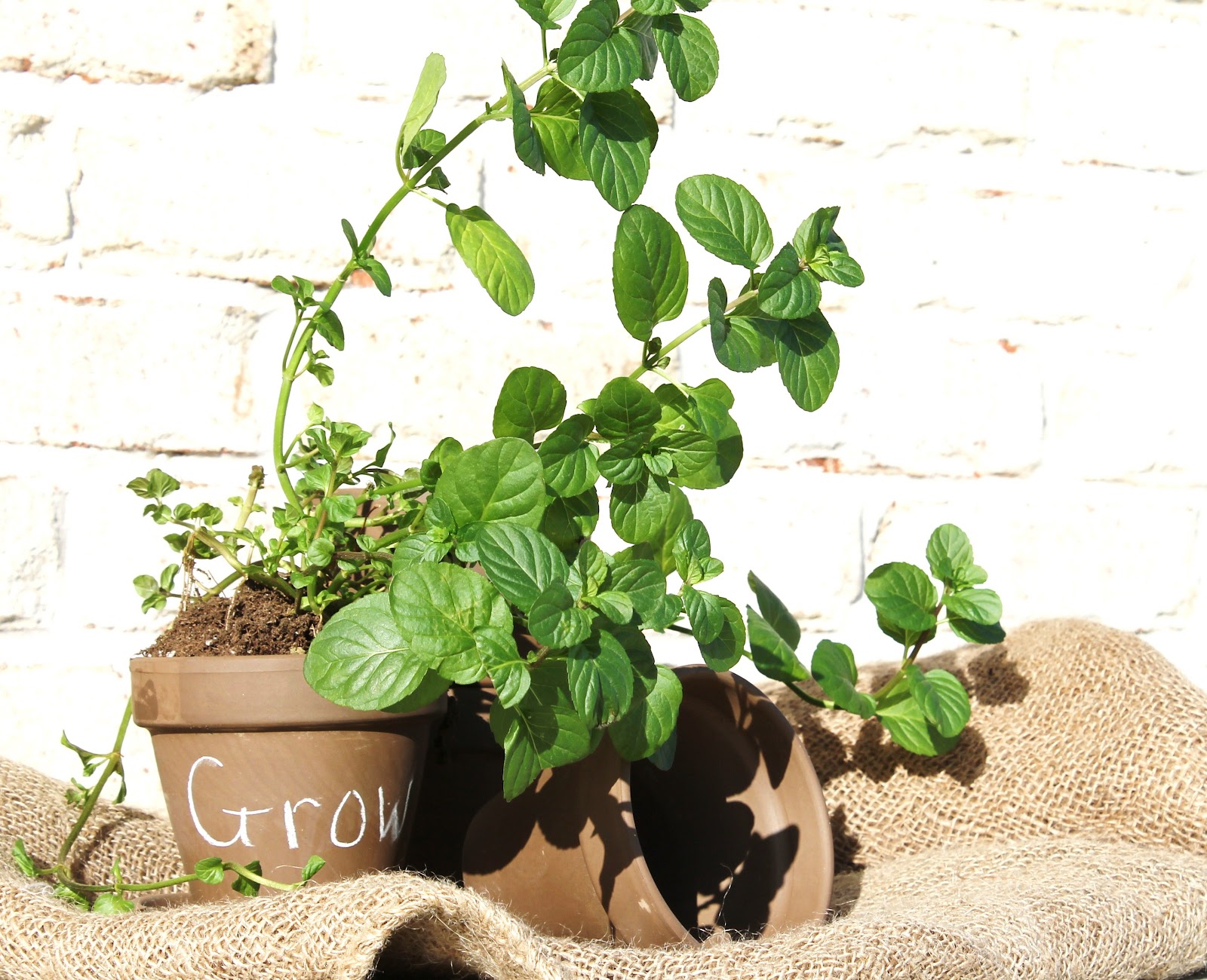 Cook's warehouse facebook, porcelain vs stainless steel pots and pans