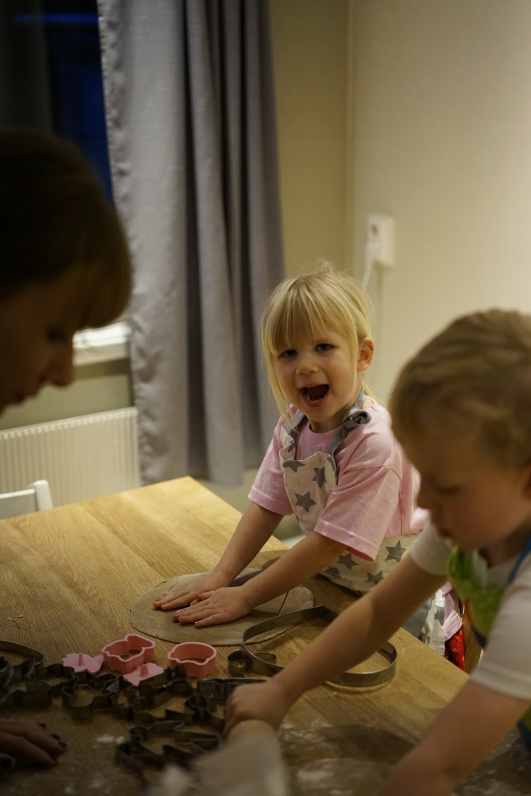 Richard Bjerkoe - Robust Dad - Gingerbread Baking