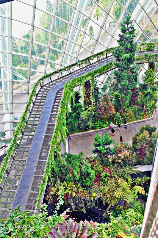 Cloud Bridge in Cloud Forest Dome meheartseoul.blogspot.sg (Vera Lee)