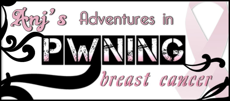 Anj's Adventures in Pwning Breast Cancer