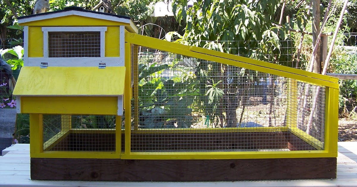 Quail Coop Yellow