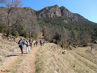 Camí de la Vilella. Autor: Ricard Badia Camí de la Vilella. Autor: Ricard Badia