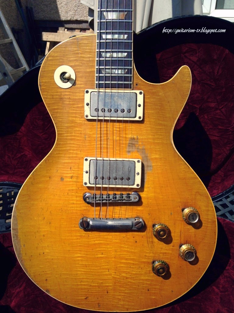 Greeny_05.jpg