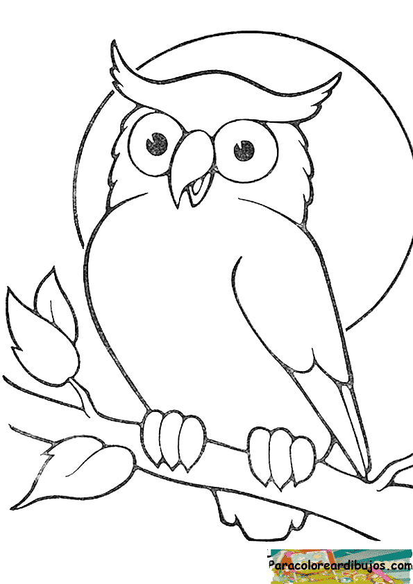 dibujo de buho para colorear