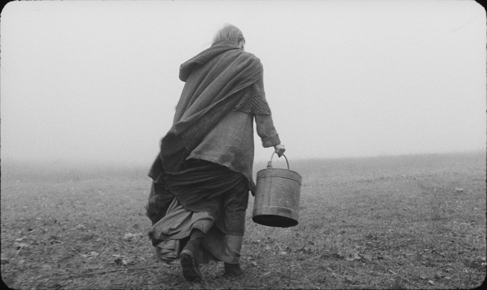 Turin Horse
