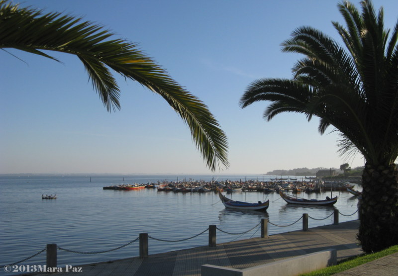 Torreira - Aveiro Lagoon