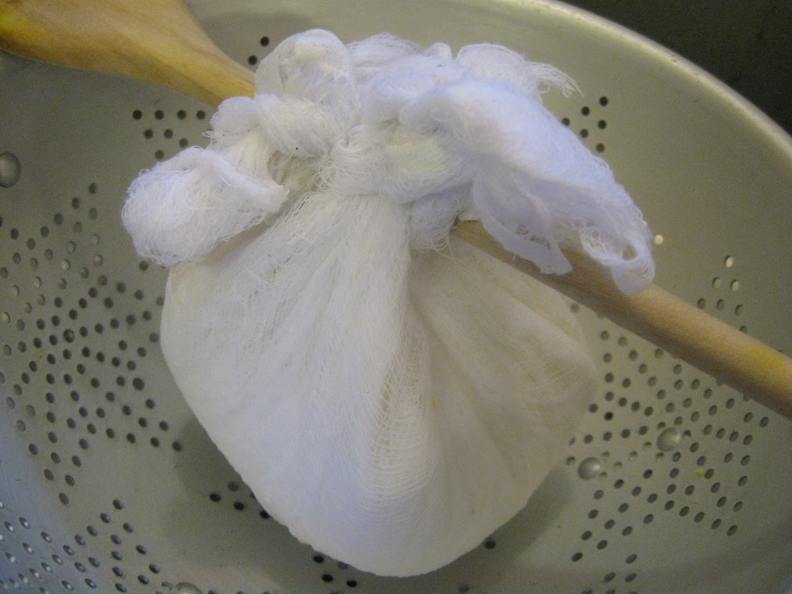 Carpe Cibus Homemade Buttermilk Ricotta