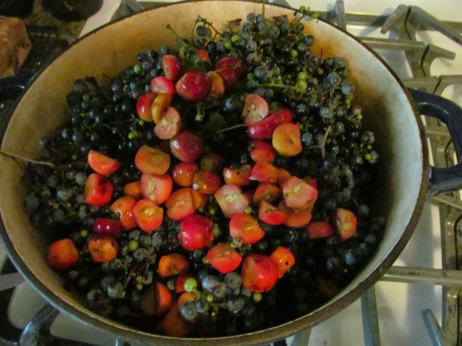 Mother's Kitchen Wild Grape Jelly