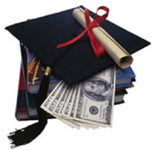 Plant Science Scholarship -Master of Science (MSc) programme in ... Plant Science Scholarship -Master of Science (MSc) programme in ...