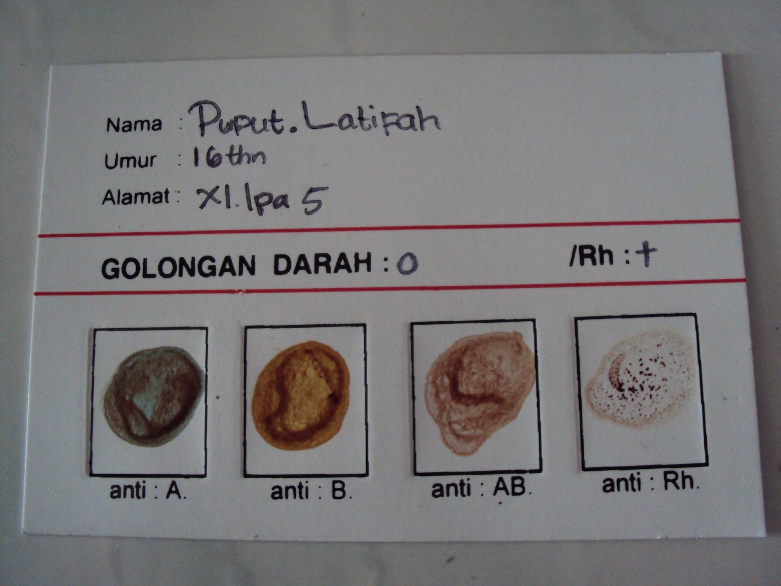 Aeegio ayye!! contoh laporan praktek golongan darah